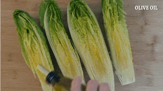 Grilled Caesar Salad