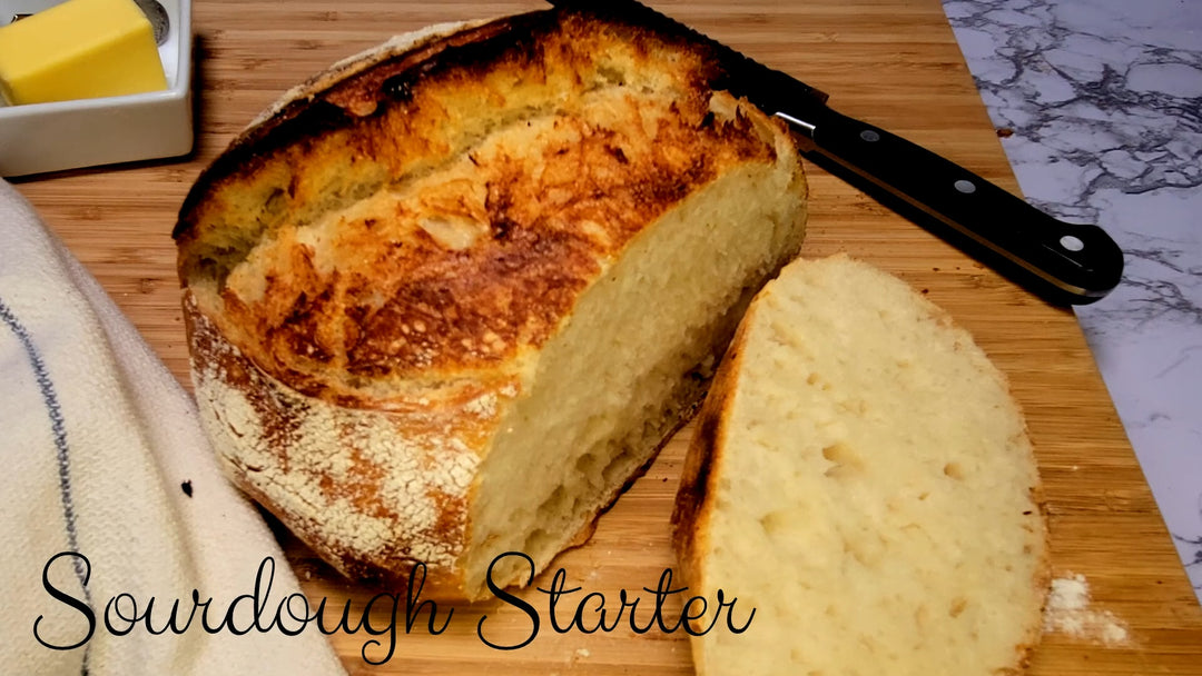 Sourdough Starter