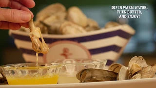 Steamer Clams