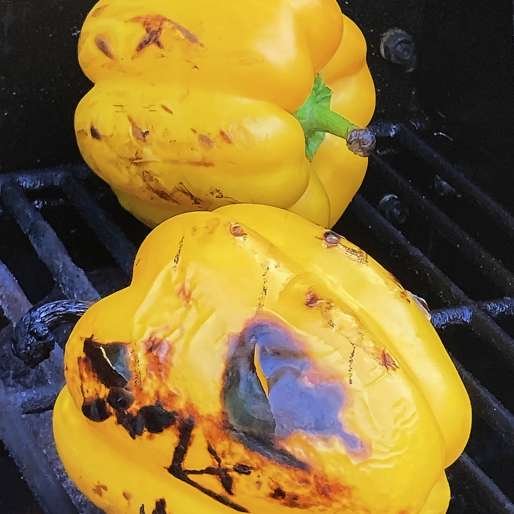 Grilled Yellow Peppers 8510