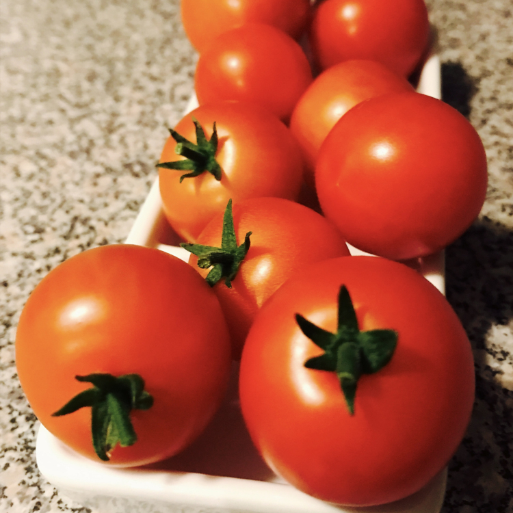 TomatoesCherry01CB17 fmPRO scaled 1